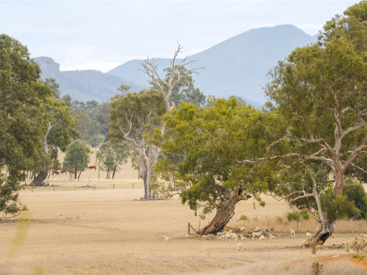513 Old Ararat Road, Dunkeld VIC 3294