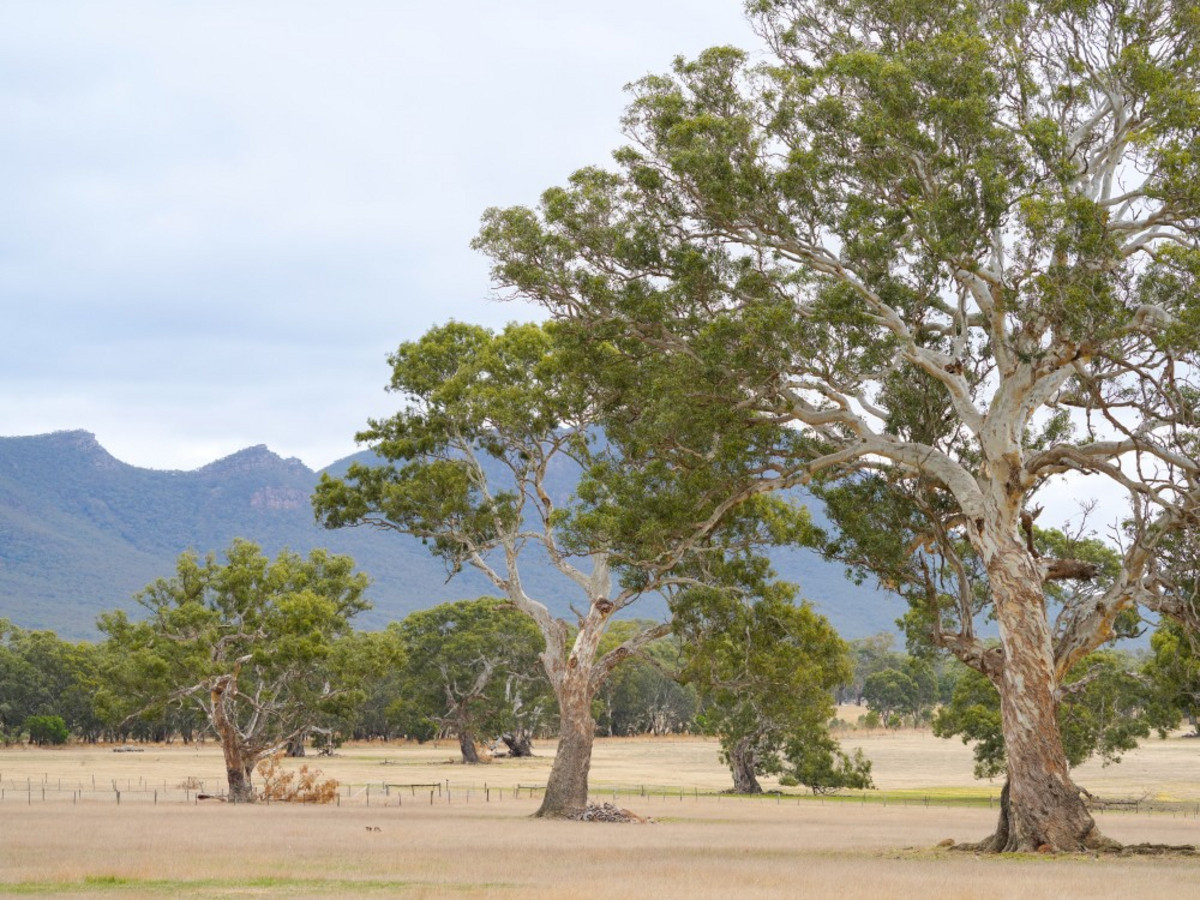 513 Old Ararat Road, Dunkeld VIC 3294