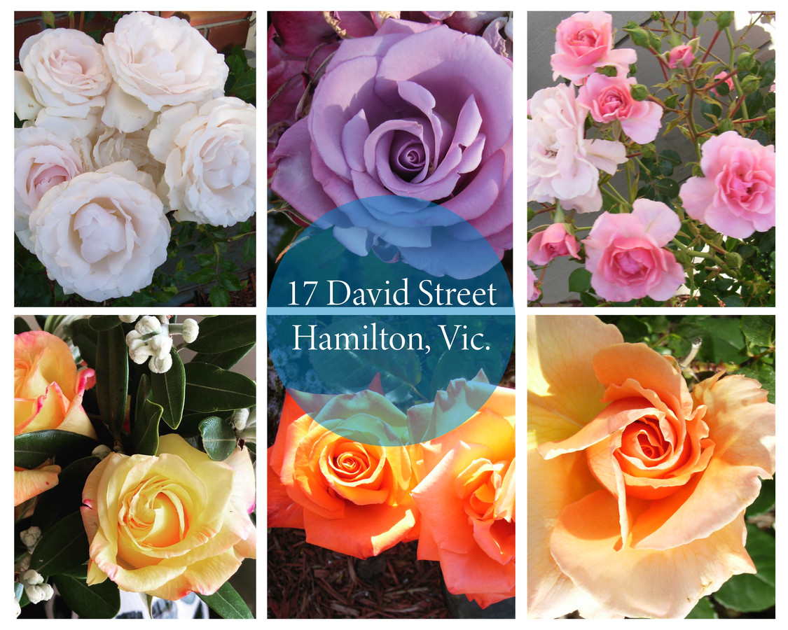 17 David Street, Hamilton VIC 3300