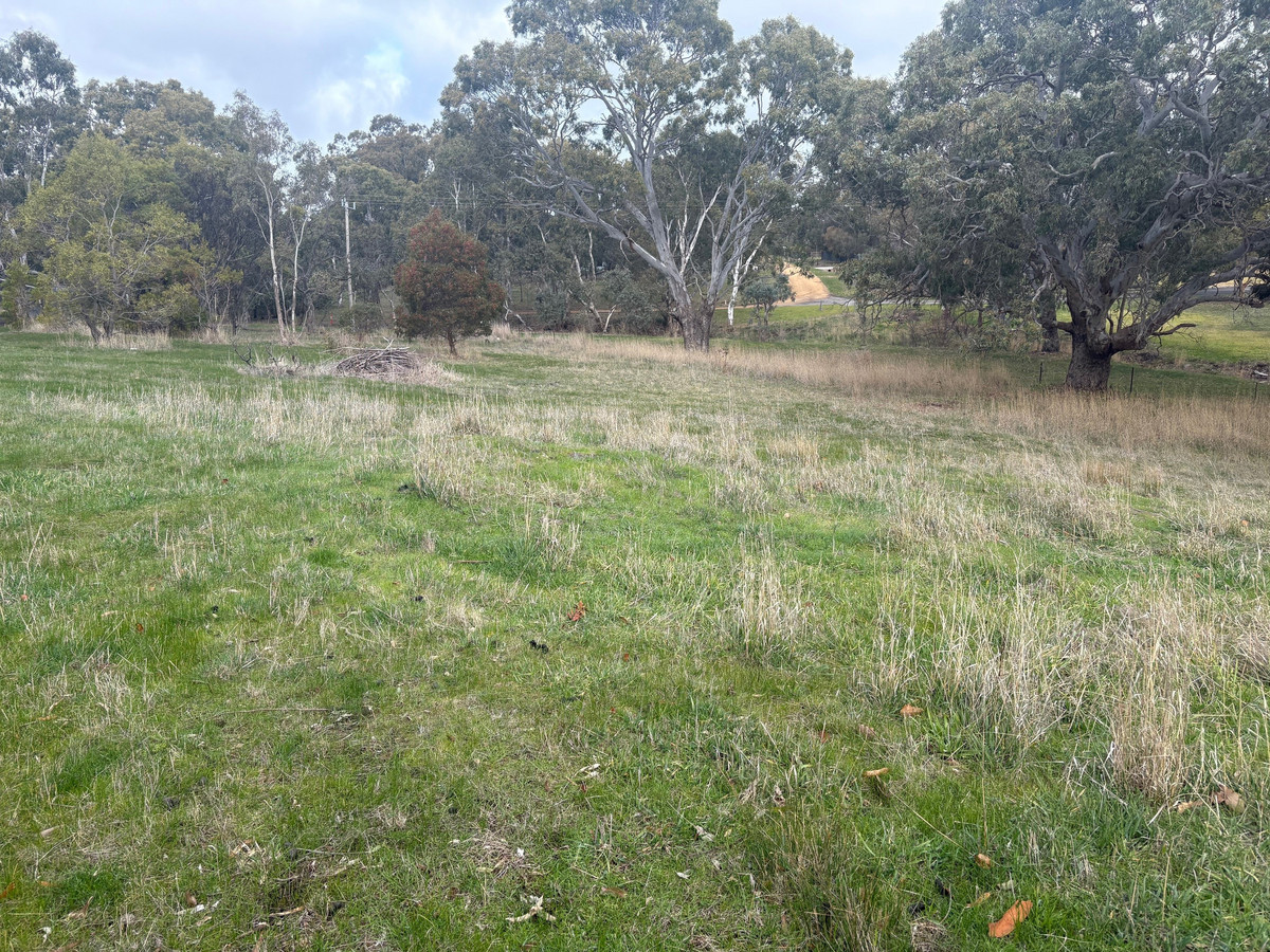 Lot 2/43 Parker Street, Dunkeld VIC 3294