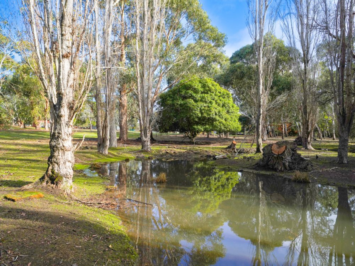 47 Young Street, Hamilton VIC 3300