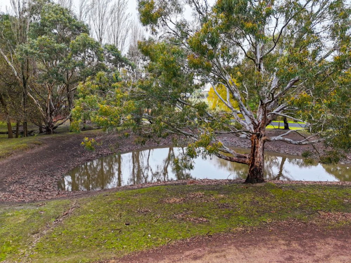 47 Young Street, Hamilton VIC 3300